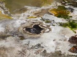 SLOW MOTION: Fumarole New Zealand Stock Footage