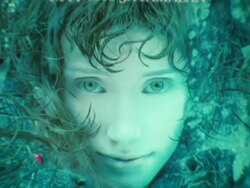 'Lady In The Water' New York Premiere Stock Footage