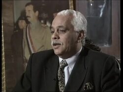 Scientist interviewed by UN, other scientist comments, inspections News Clip