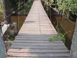 Suspension bridge Stock Footage