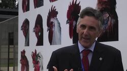 Scientists launch Ethiopian farm to breed healthy, bug resistant chickens News Clip