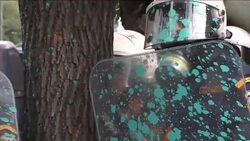 European Finance - Tear gas fired as protesters, some in Nazi regalia, voice anger at Merkel visit / Clashes in Spain, Italy and Greece as protesters take to streets during general strike / Voters in Catalan region prepare for vote that could lead to independence from Spain Instructional Video