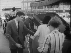 Female Hansom Cab Drivers in NYC Stock Footage
