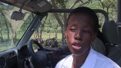 Combining a safari trip with a luxury spa News Clip