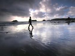MS TS POV Shot of Young man walking on beach at sunset / Port Orford, Oregon, United States  Stock Footage
