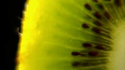 Close up tropical kiwi fruit slowly rotating Black background Stock Footage