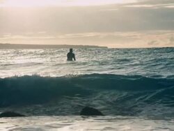 Surfer Stock Footage