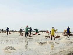 Salt Farmers Stock Footage