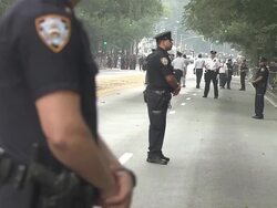 Police Stand in Line and Monitor Crowd Stock Footage