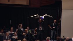 Markus Fischer: A robot that flies like a bird Instructional Video