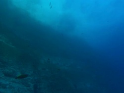 Waves crashing from surface. Roca partida. Mexico  Stock Footage