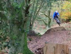 A man jumping on his mountain bike on a singletrack dirt trail through a forest. - Slow Motion Stock Footage