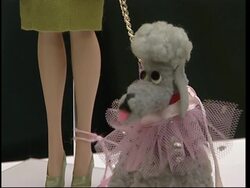 One of world's largest private collections of Barbie dolls go to auction News Clip