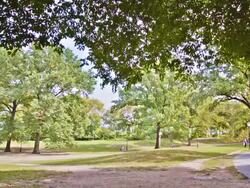 Central Park Stock Footage