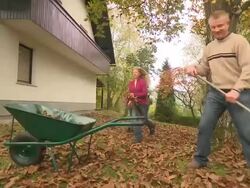 Raking Leaves Stock Footage