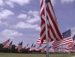American Flags with Blue Skies and Clouds Stock Footage