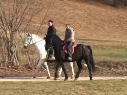 HD: Horseriding In Nature Stock Footage