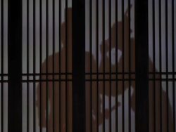 MS Silhouettes of ancient Chinese people on windows/xian,shaanxi,China Stock Footage