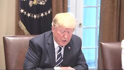 Trump Pledges to Repel Any 2018 Meddling Attempt News Clip