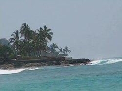 Rocky coast with palm trees Stock Footage