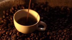 Pouring coffee Stock Footage