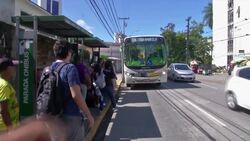 World Cup tourists travelling by bus in the Brazilian city of Recife may be in for the ride of their life if they hop on the 503. The driver has the bus decked out in Brazilian flags and plays catchy forro dance music. (June 28) News Clip