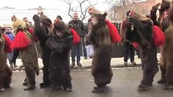 CLEAN : Romania: Bear dance to chase away evil spirits before New Year News Clip
