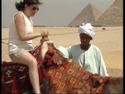 Egypt - Camels banned from pyramids News Clip