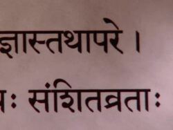 CU PAN Bhagavad Gita in Sanskrit Chapter 8 / New York City, New York, USA  Stock Footage