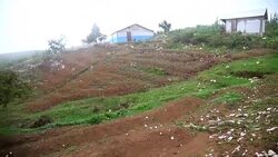 CLEAN : Breaking a vicious circle in once lush Haiti News Clip