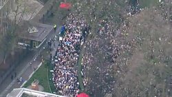 Aerial shots of the protest march through London against Donald Trump's 'Muslim ban' News Clip