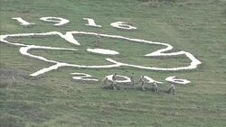 Flanders Poppy Unveiled in Salisbury, Wiltshire News Clip