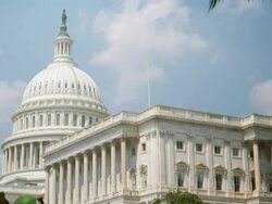 Long Shot zoom-out - Plants frame the dome of the United States Capitol. / Washington, D.C., USA Stock Footage