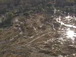 WS AERIAL View of forest area / South Carolina, United States Stock Footage