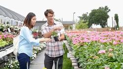Diverse couple choose flowers at plant nursery Stock Footage
