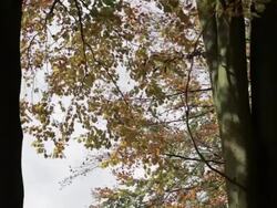 SHADOWS OF WAR: The Thiepval Memorial Stock Footage
