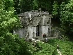 Mayan Temple Palenque Mexico Ruins Stock Footage