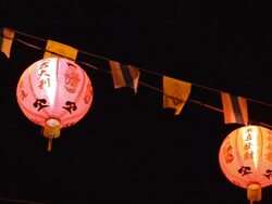 Chinese New Year lantern decorations. Stock Footage