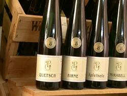  CU PAN View of bottles at brandy distillery / Fellerich, Rhineland-Palatinate, Germany  Stock Footage