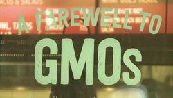 CLEAN : Fast food fast jobs: Chipotle to hire 4,000 in one day News Clip