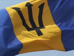 Flag of Barbados Stock Footage