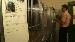 Pairing puppies with the homeless News Clip