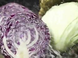 Rinsing Red and White cabbage : HD Slow motion Stock Footage