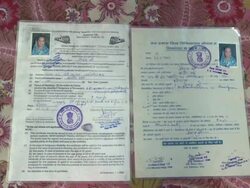 World's Oldest Dwarf Woman Stock Footage