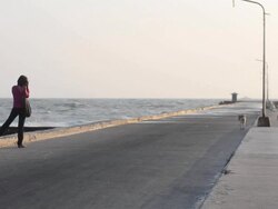 Woman taking photograph on the bridge in windy day. Stock Footage