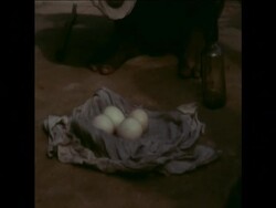 SYND 13/12/71 SCENES FROM BANGLADESH AFTER LIBERATION News Clip