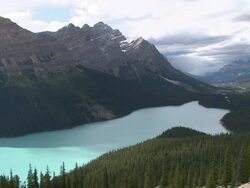 WS PAN View of Peyto Lake / Lake Louise, Alberta, Canada   Stock Footage