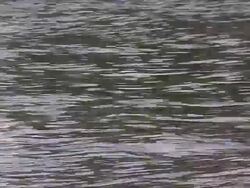 HD Waterplane Stock Footage