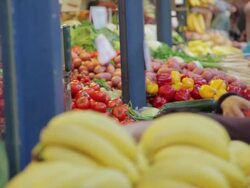 Market stall Stock Footage