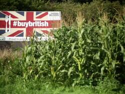 Views Of British Farming Stock Footage